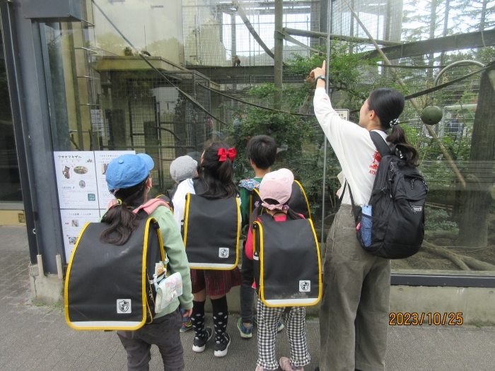 京都 教育 大学 附属 小学校 ランドセル ストア